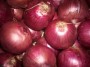oignon rouge